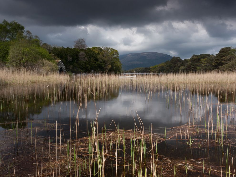 Picture of Muckross Lake in Ireland