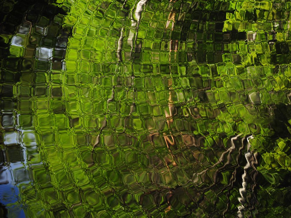 Picture of a reflection on the surface of a lake