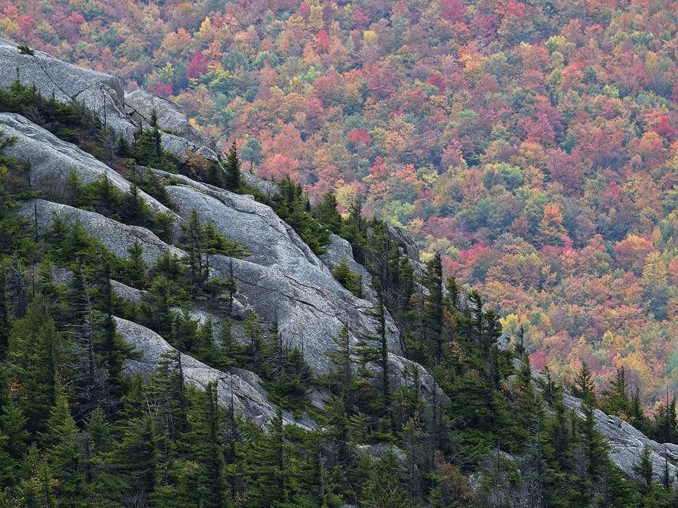Picture of Catamount Mountain, New York