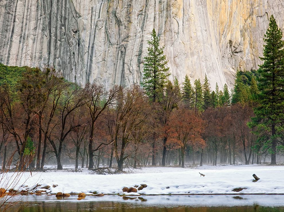 Picture of a winter landscape in Yosemite National Park