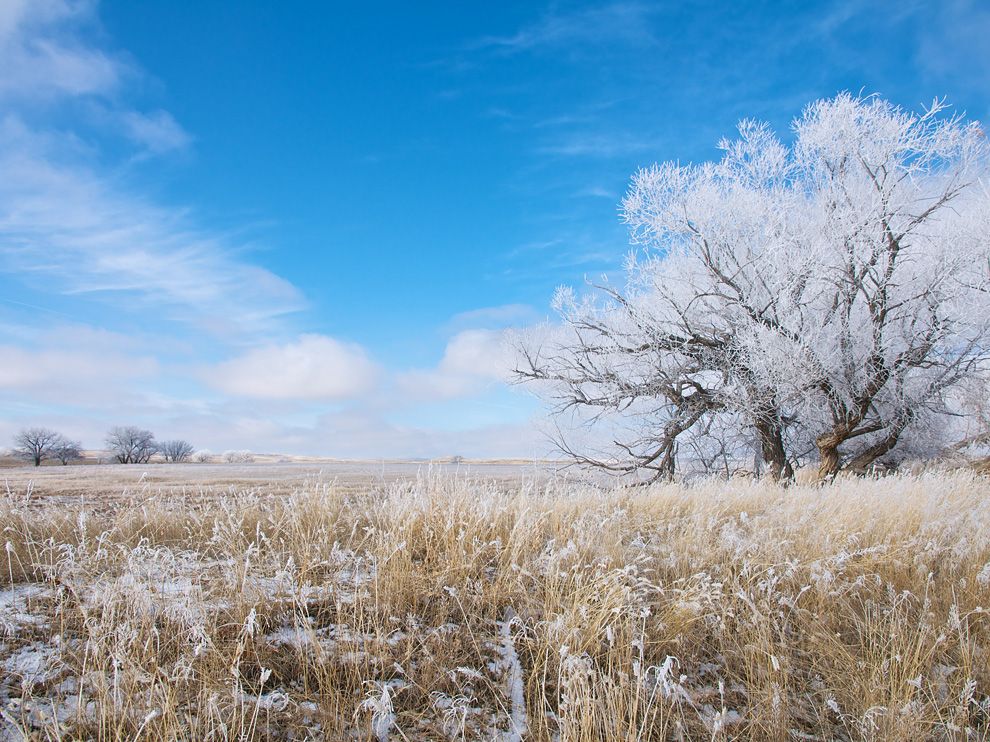 Photo: A snow-dusted landscape in Wyoming