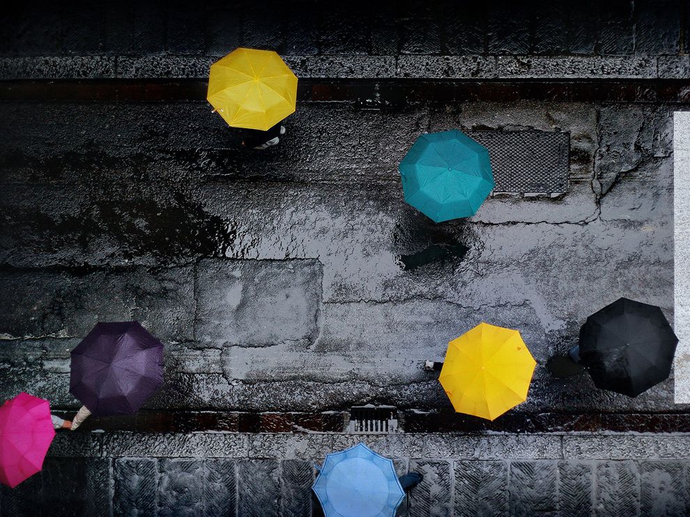 Picture of colorful umbrellas on a street in Florence, Italy 
