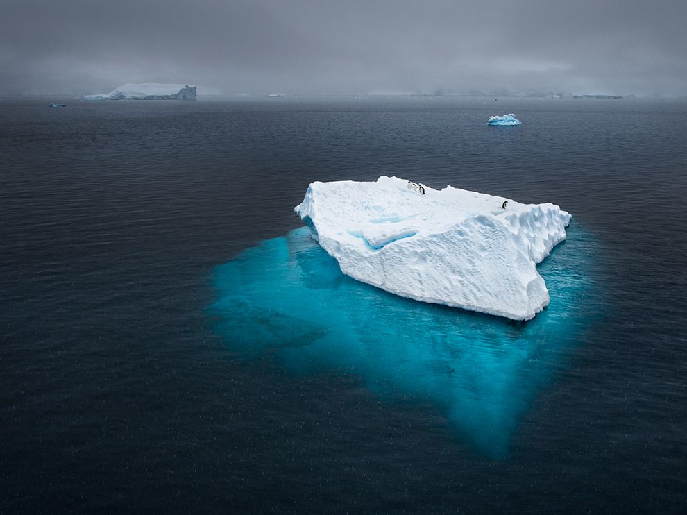 Picture of penguins on an iceberg in Antarctica
